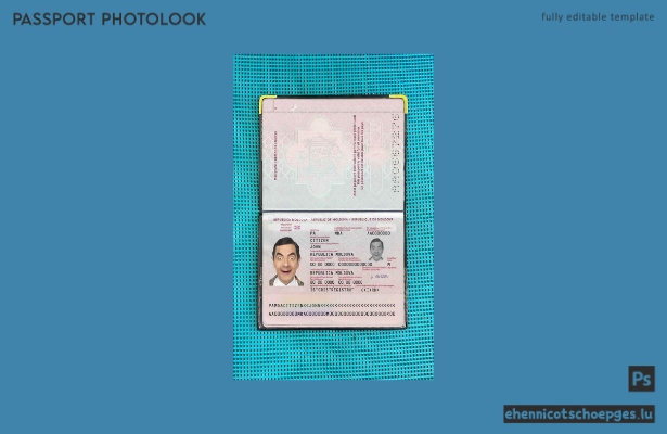 Moldauischer Reisepass (2014–heute): Beispielansicht des Passfotos
